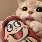 Melissa Montoya avatar